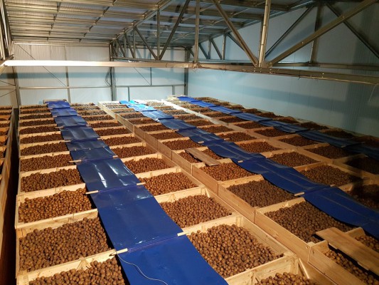 Быстровозводимое картофелехранилище на 500 тонн