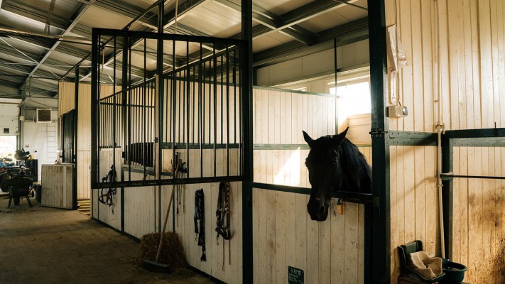 помещение для коней из металлокаркаса