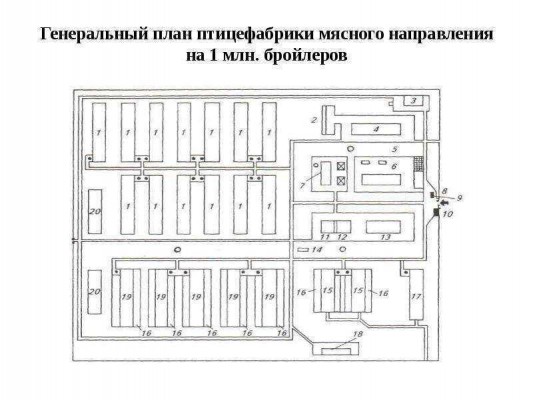 план бройлерной птицефабрики на 1 млн голов