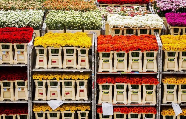 складское хранение живых цветов 